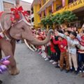 Thailand merayakan Natal dengan parade gajah dan bintang tradisional