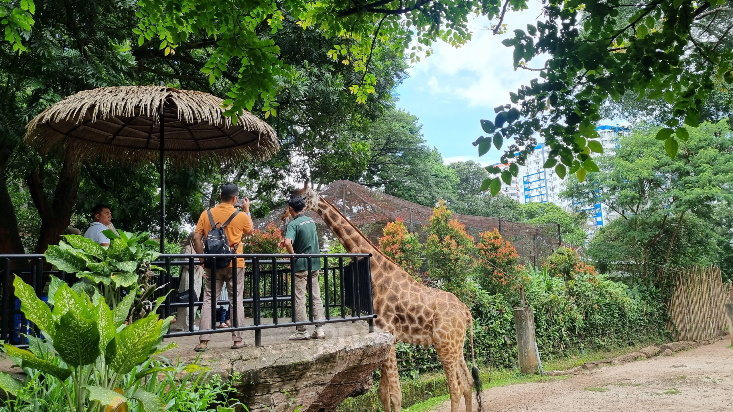 Kebun Binatang Bandung: Destinasi Utama Keluarga di Libur Nataru 2024